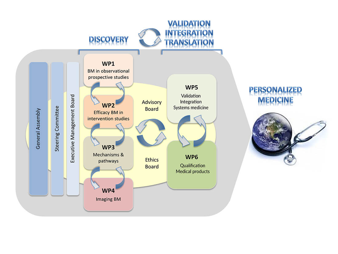 BEAt DKD Organisation Diagramm